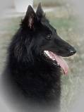 Informationen �ber Cosma