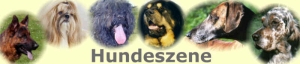 Hundeszene
