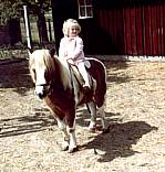 Pony