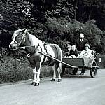 Kutschenfahrt
